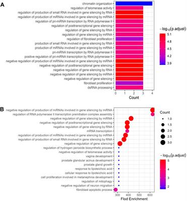 Therapeutic targets and pharmacological mechanisms of Coptidis Rhizoma against ulcerative colitis: Findings of system pharmacology and bioinformatics analysis